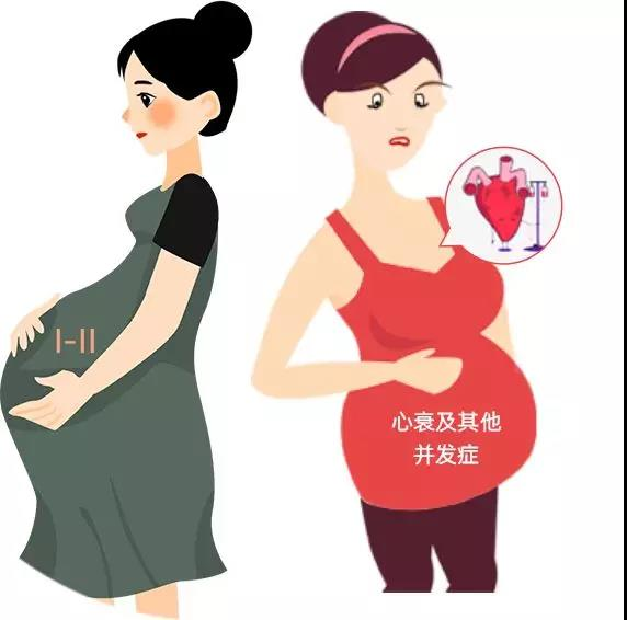 上海2024试管供卵生子的医院有哪些