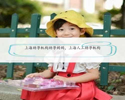 上海助孕机构助孕妈妈，上海人工助孕机构