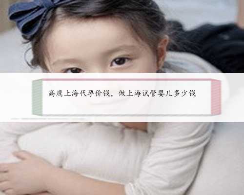 高鹰上海代孕价钱，做上海试管婴儿多少钱