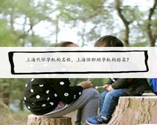 上海代怀孕机构名称，上海供卵助孕机构排名？