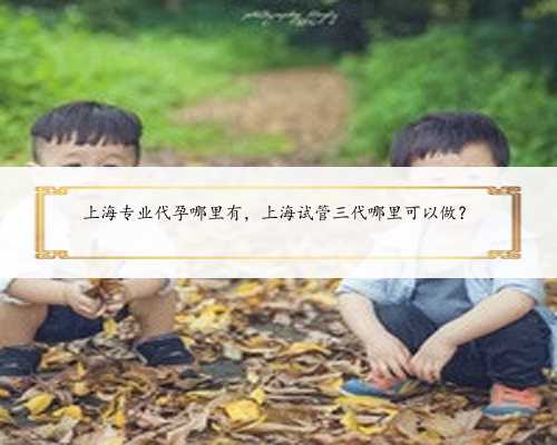 上海专业代孕哪里有，上海试管三代哪里可以做？