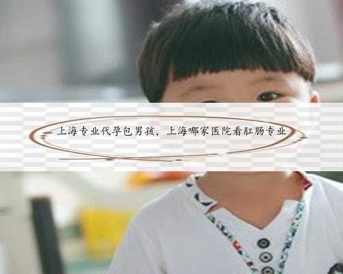 上海专业代孕包男孩，上海哪家医院看肛肠专业