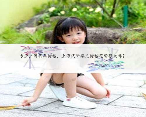专业上海代孕价格，上海试管婴儿价格花费很大吗？