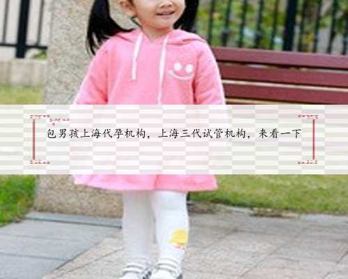 包男孩上海代孕机构，上海三代试管机构，来看一下